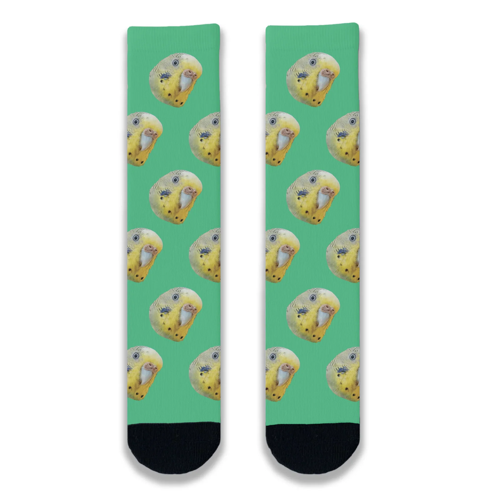 Budgie All Over Personalised Socks - Image 2