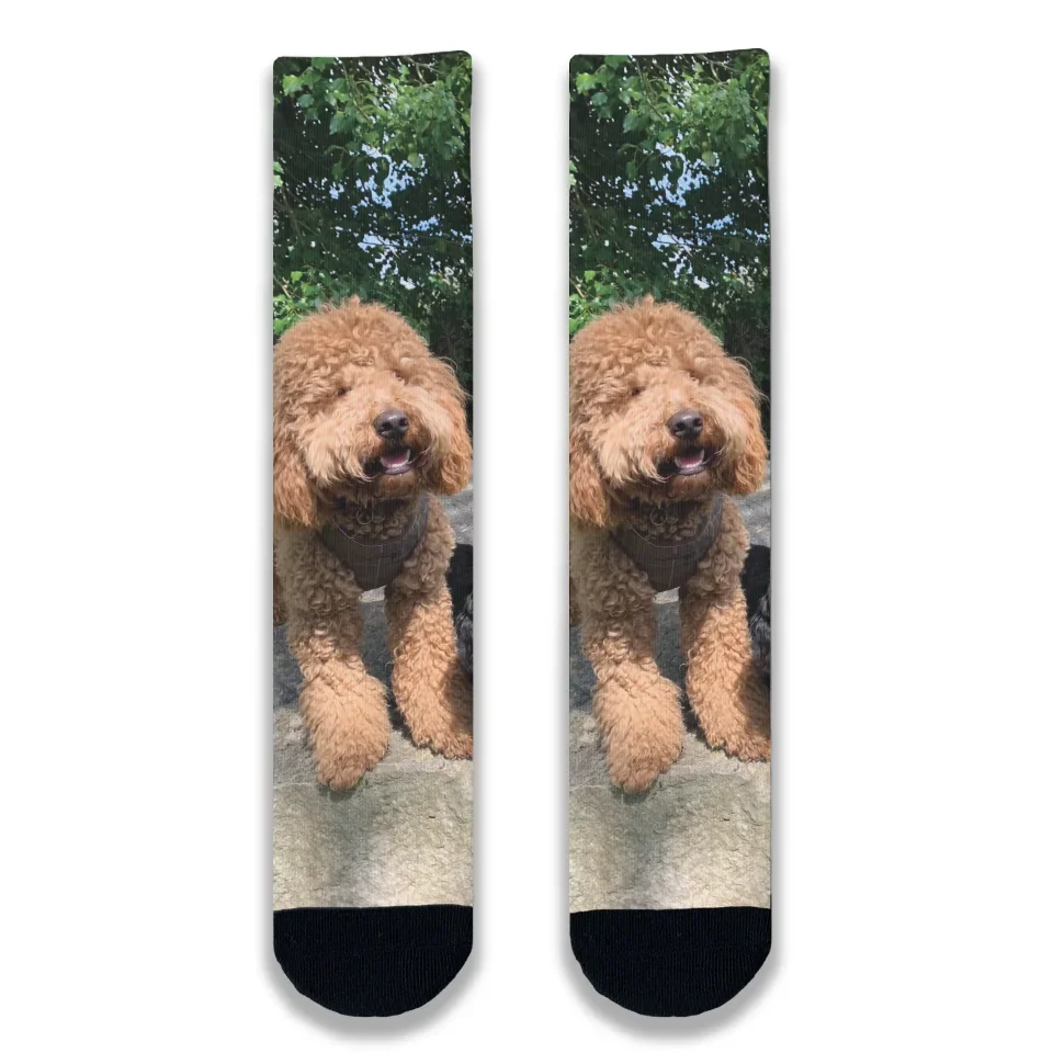 Dog Photo Personalised Socks - Image 2