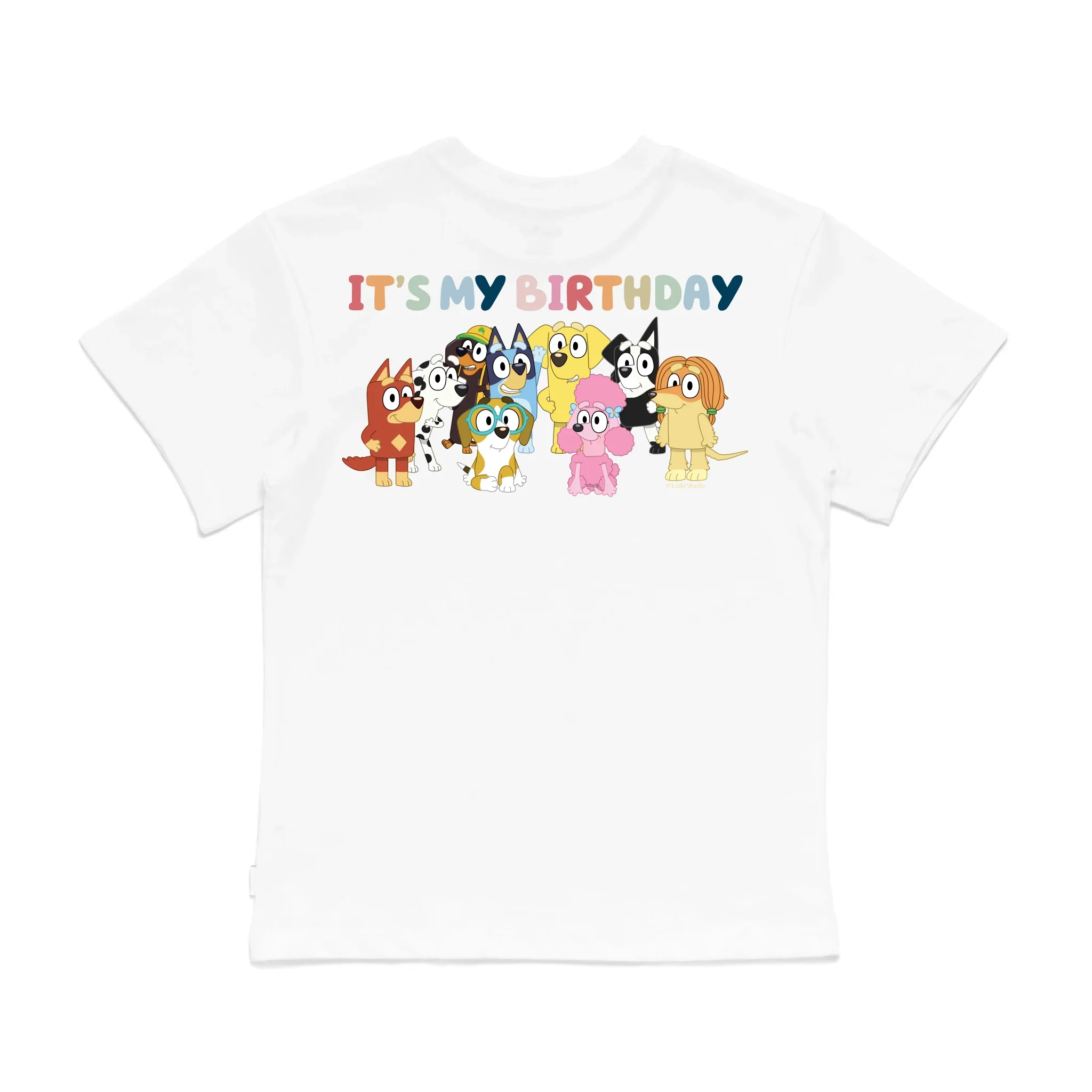 Personalised Bluey Birthday Boy Kids' T-Shirt - Image 26