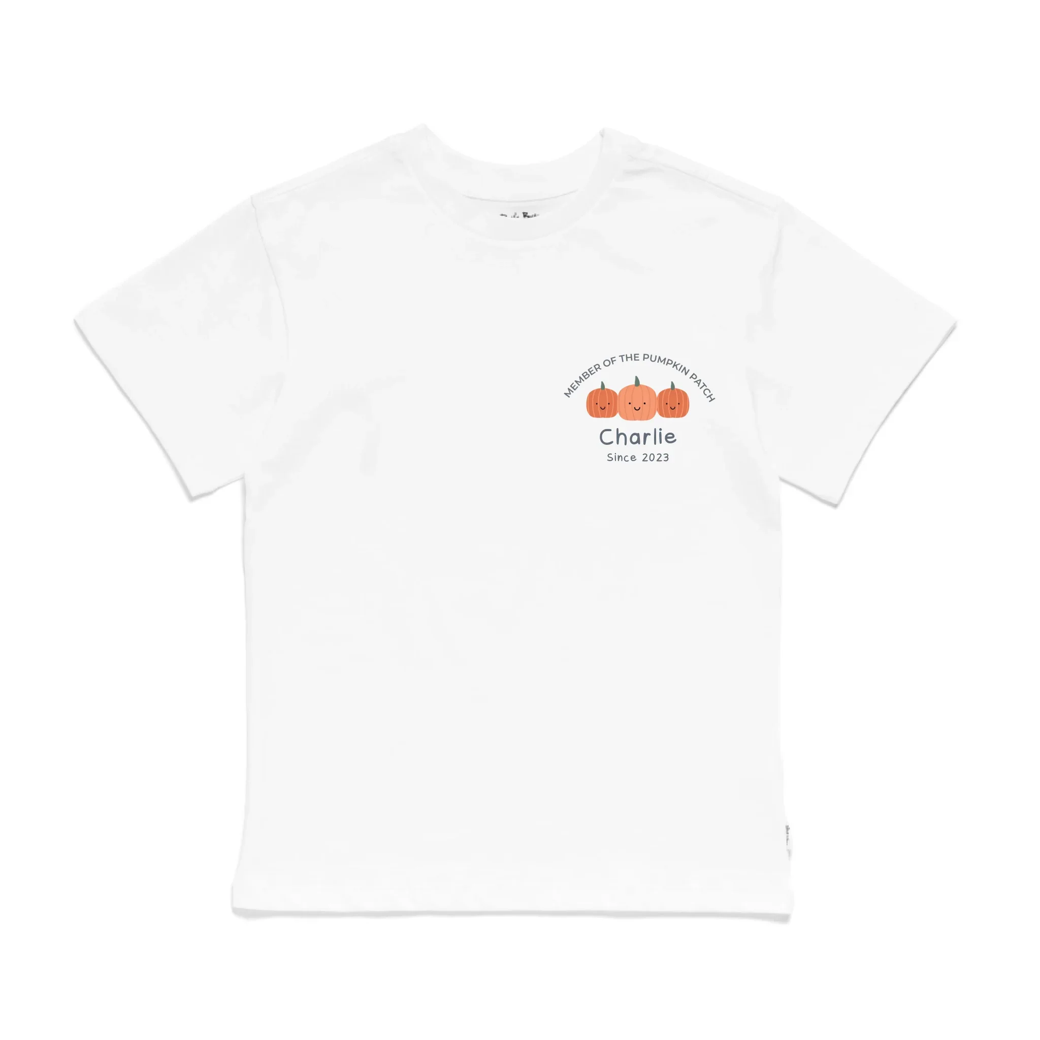 Personalised Pumpkin Patch Kids' T-Shirt - Image 20